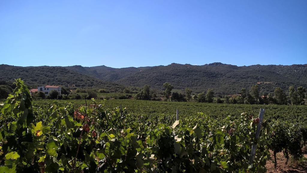 I Graniti Villa Monti Luaran gambar